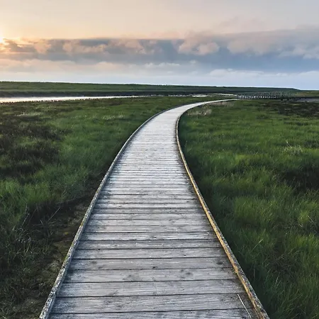 Kueste33/23 - Seestern - Exklusive Mit Sauna & Nah Am Strand! Tossens