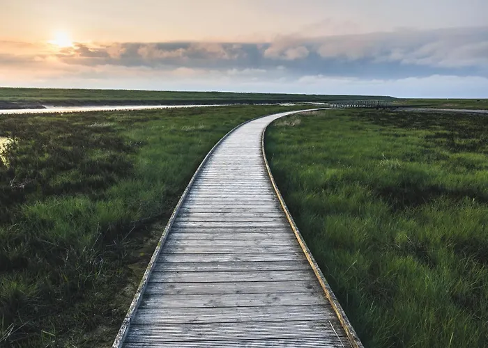 Kueste33/23 - Seestern - Exklusive Mit Sauna & Nah Am Strand! Tossens